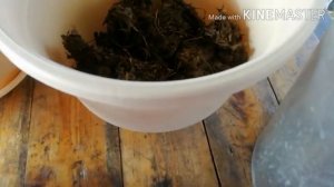 Высаживаю каскадно-ампельную петунию.