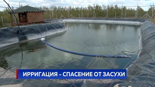 ИРРИГАЦИЯ - СПАСЕНИЕ ОТ ЗАСУХИ смотреть онлайн
