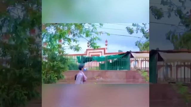 Bahawalpur the city Of Nawabs | Beauty of Bahawalpur | Zubair the explorer смотреть онлайн