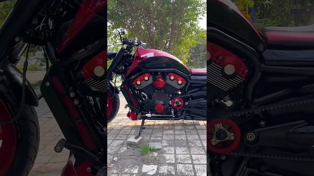 Say something! #harley #harleydavidson #vrod смотреть онлайн