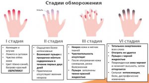 13.2. Отморожения (обморожения). Первая помощь при обморожении