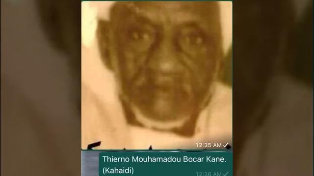 Thierno Mamadou Bocra Kane смотреть онлайн