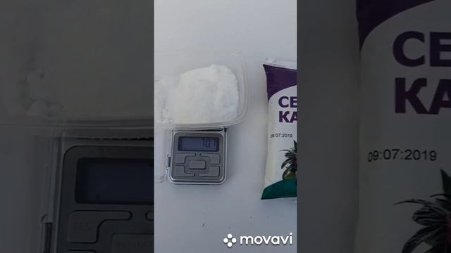 Выгонка тюльпанов ,подкормка тюльпанов. смотреть онлайн