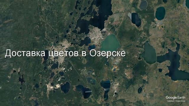 Доставка цветов в Озёрске - Заказ букетов от компании Скорая подарочная помощь смотреть онлайн