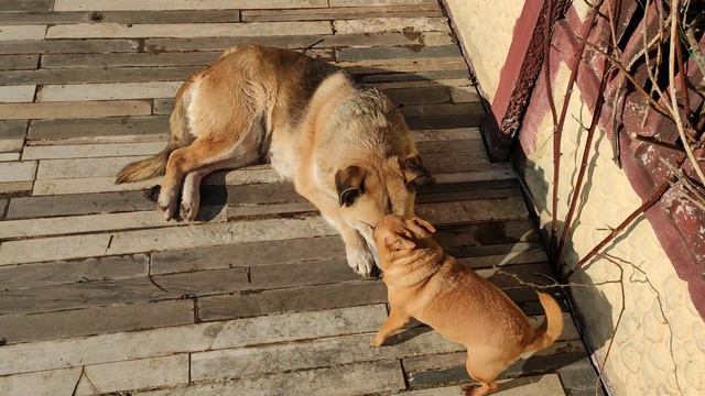 Славянск. 14 февраля 2024 года. смотреть онлайн