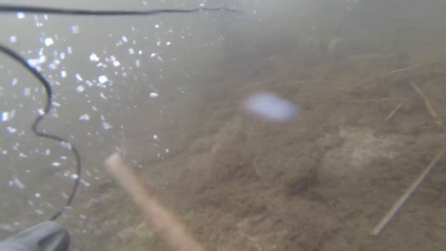 Подводная охота Spearfishing 13 06 2015 Большой окунь Новый Уренгой смотреть онлайн