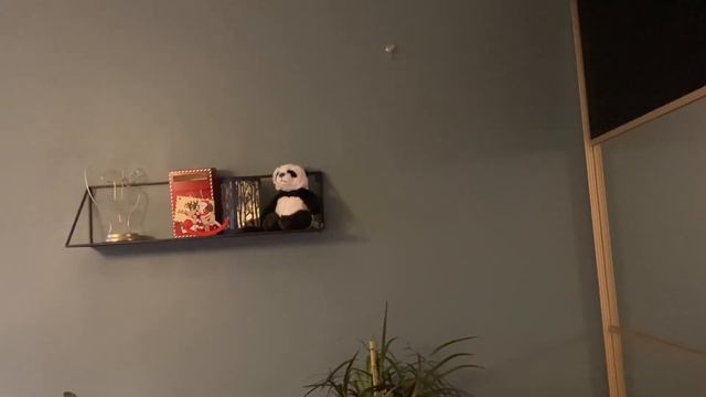 Валберис и обзор покупок! Как ухаживать за вашим деревянным декором. Уход , Уборка, Покупки ?️ смотреть онлайн