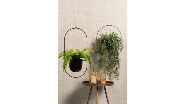Mica Decorations - Dexter Hanging Pots - Stop Motion смотреть онлайн
