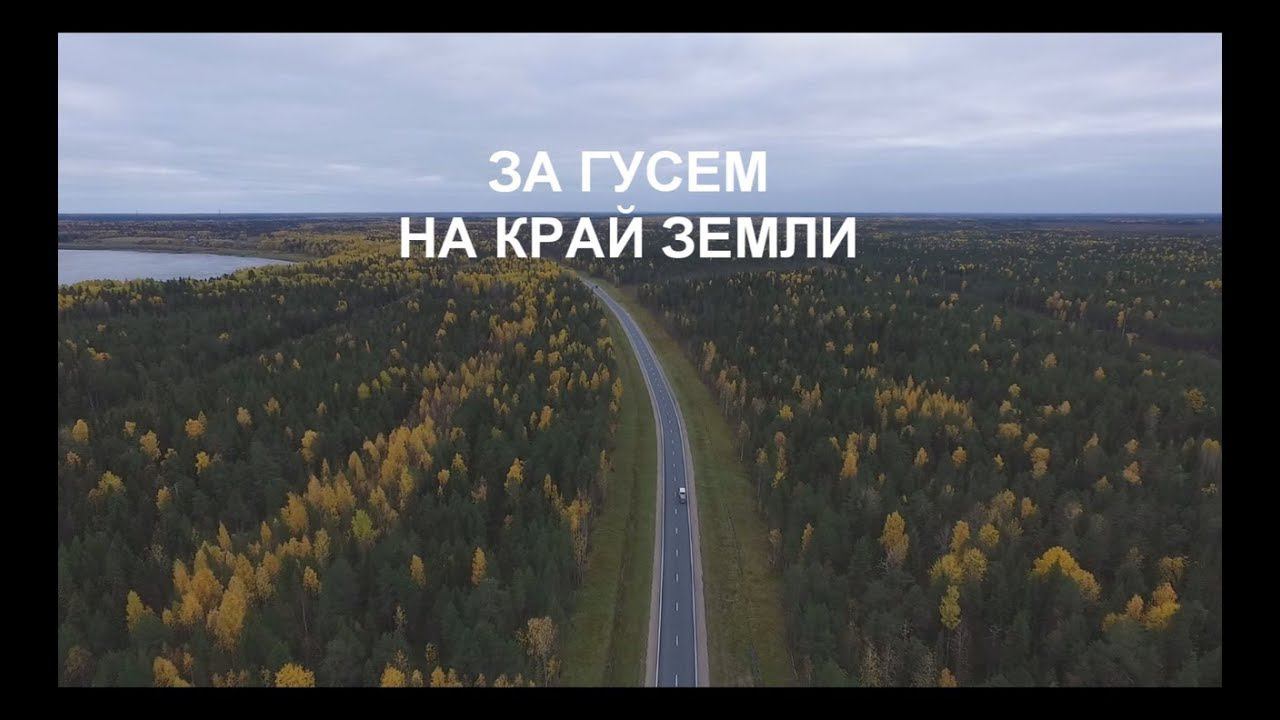 ЗА ГУСЕМ НА КРАЙ ЗЕМЛИ