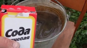 Пищевая СОДА для винограда в саду