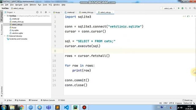 SQLite - 16 - выборка данных (execute) смотреть онлайн