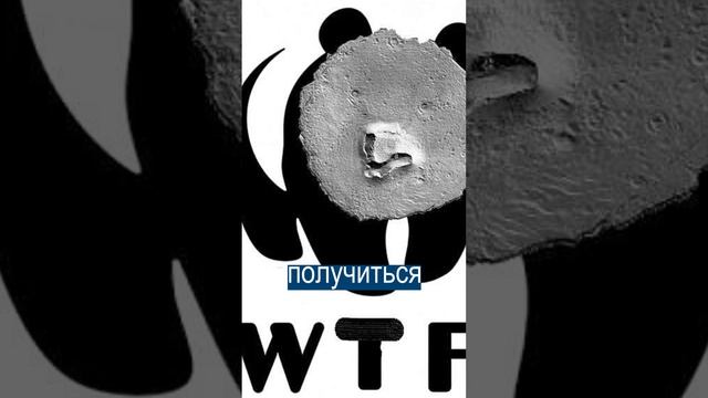 На Марсе нашли одинокого медведя смотреть онлайн