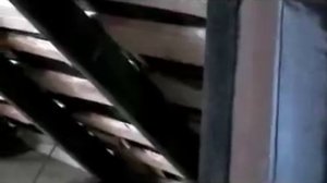 Самый дешёвый способ борьбы с жуком древоточцем