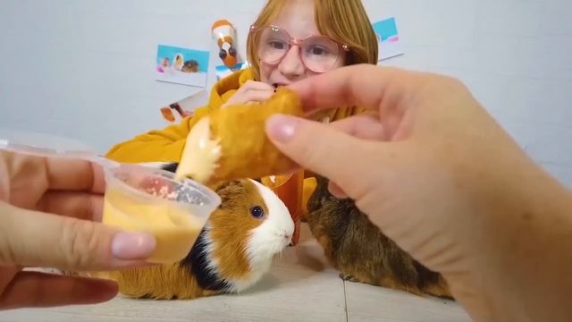 АМЕРИКАНСКАЯ КУХНЯ VS ЯПОНСКАЯ | Свинка Бузя ЧЕЛЛЕНДЖ с ЕДОЙ смотреть онлайн