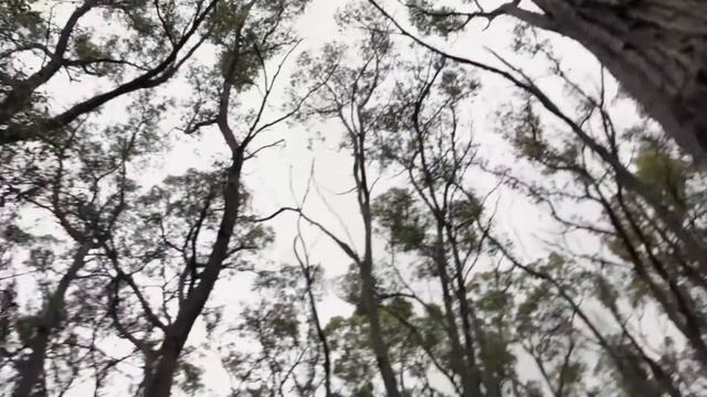 Древние шахты Австралии смотреть онлайн