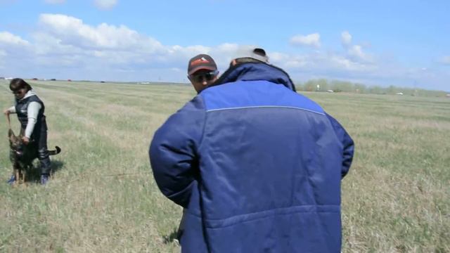 Жиркевич комменс 270516 1 смотреть онлайн