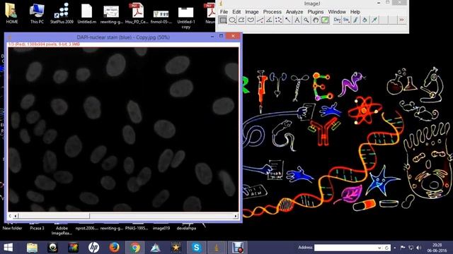 How to convert grayscale image to colored image using Image J смотреть онлайн