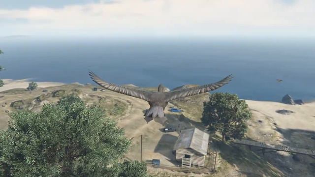GTA V Лофофоры #19 Игра за животных смотреть онлайн