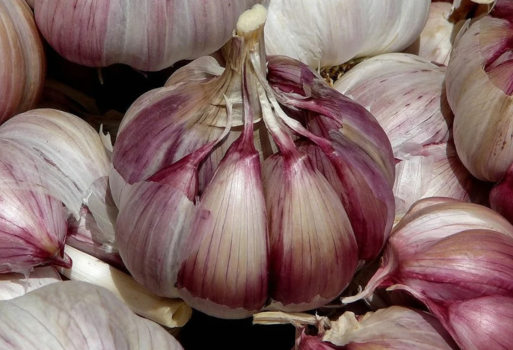 КАК ПРАВИЛЬНО УБРАТЬ ЧЕСНОК С ГРЯДКИ И ГДЕ ХРАНИТЬ.Мои результаты сезона 2022г