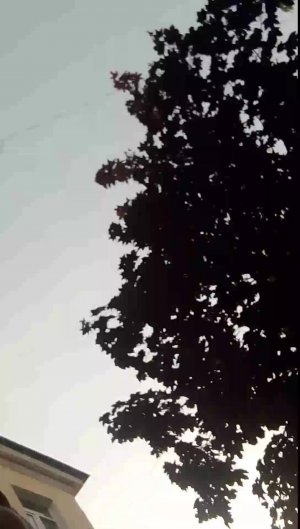 я хз что писать