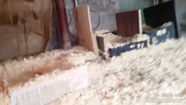 Индоутка начала нести яйца смотреть онлайн