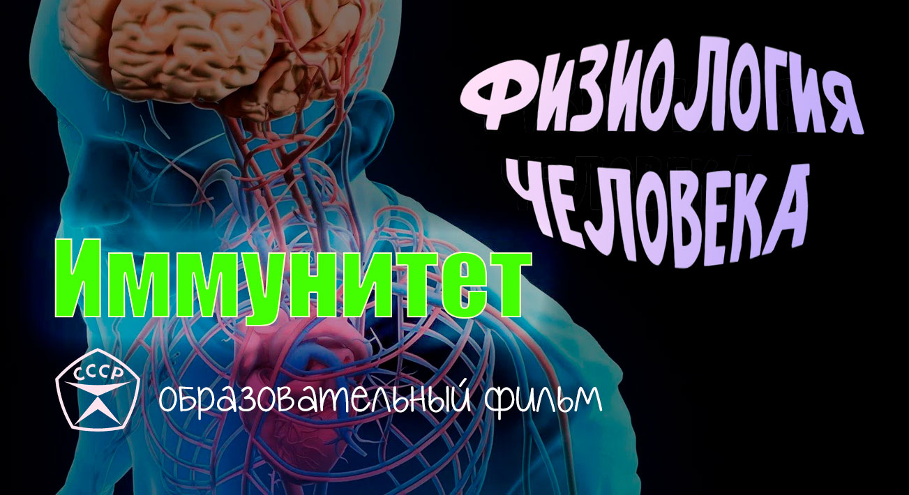 Иммунитет.
