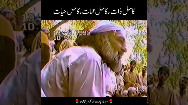 Kamil Zaat | Kamil Momat | Kamil Hayat #SarkarGoharShahi смотреть онлайн