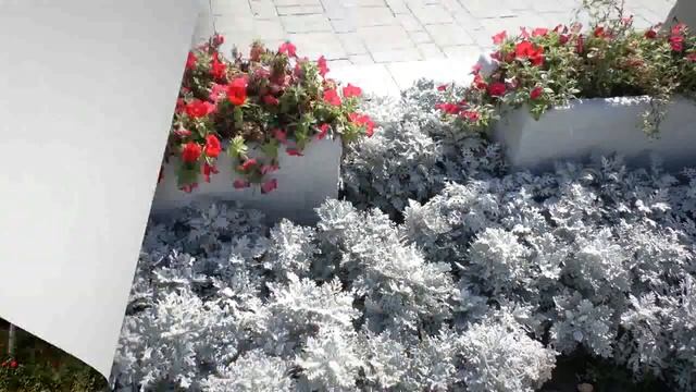 Сталинград. Мамаев Курган.Родина мать зовет ! смотреть онлайн