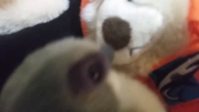 SA Short:Alien Trouble смотреть онлайн