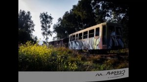 Списанные поезда