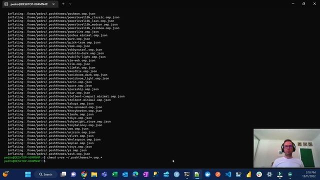 How to add Oh My Posh to WSL смотреть онлайн