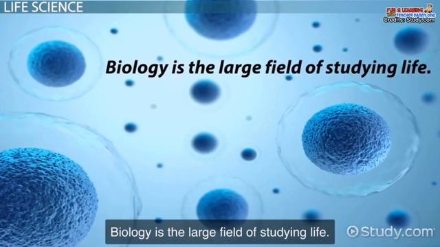 BRANCHES OF SCIENCE смотреть онлайн