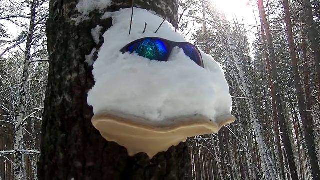 НАРАСТИ РЕСНИЦЫ И УТРО СТАНЕТ ДОБРЫМ смотреть онлайн