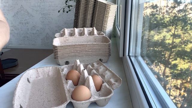 Контейнер для яиц из бугорчатого картона http://www.myfamiliy.by смотреть онлайн