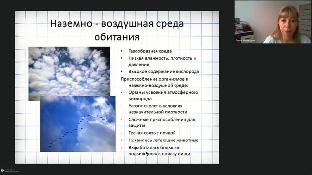 Онлайн-школа СПбГУ 2022/2023. 5 класс. Естествознание. 04.02.2023 смотреть онлайн