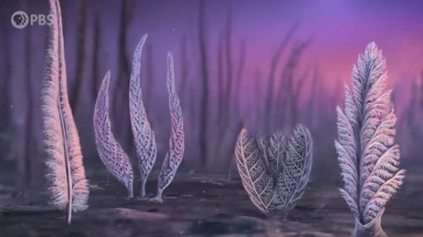 Эти окаменелости были немыслимы! (These Fossils Were Supposed To Be Impossible)