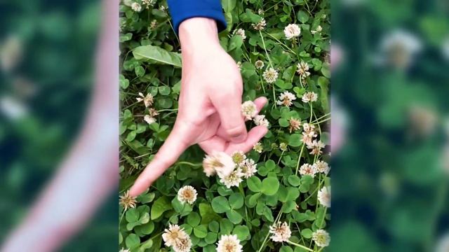 ЧТО ЕСЛИ ВСЕ БУДУТ ПЕТЬ О СВОИХ ПРОБЛЕМАХ КАК В ДИСНЕЙ? смотреть онлайн