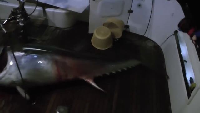 Экстремальная рыбалка. Большая рыба ожила в лодке смотреть онлайн