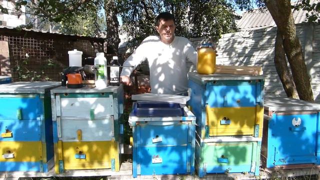 Оптовая цена на мёд 2021. Чего ожидать от рынка мёда. смотреть онлайн