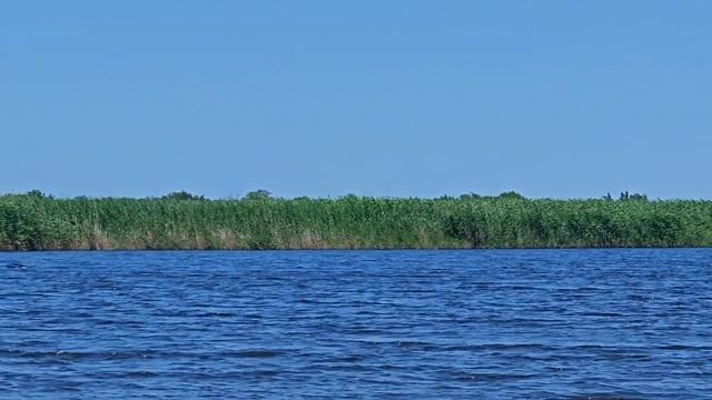 Захватывающая рыбалка