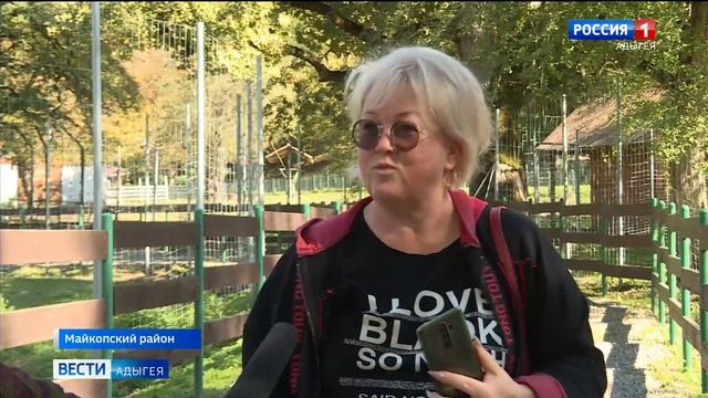 Больше места для новых постояльцев появилось в вольерном комплексе Кавказского заповедника смотреть онлайн