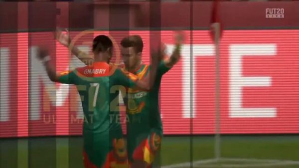 Matthew daisy destruction