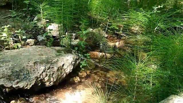 КРЫМ: Ущелье и Сухая речка вблизи трассы Ялта-Севастополь (Куру-Узень, Баргана, Къуру Озен ) смотреть онлайн
