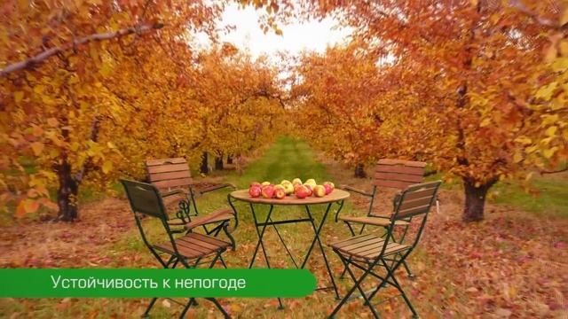 Кованая мебель