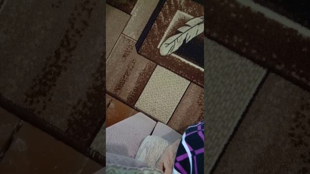 ЦВЕТЫ МОИХ САДОВ. муз.Николай Селезнёв. стихи Николай Гумилёв смотреть онлайн