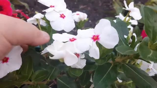 Маски и уход за кожей в холодную погоду