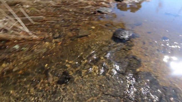 Парк Степногорск Весна смотреть онлайн