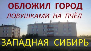 За четыре дня обложил город ловушками на пчёл. Семнадцать ловушек разного типа