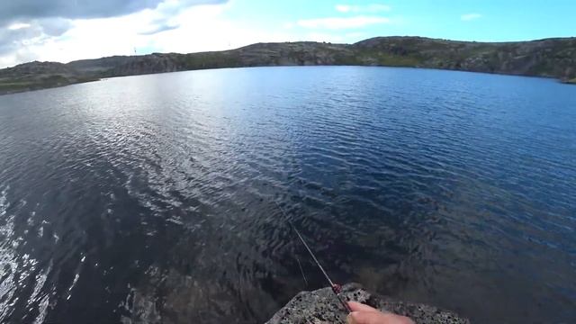 Поход в лес, звук лешего #поход #выживание #тундра #лешийвлесу #рыбалка смотреть онлайн