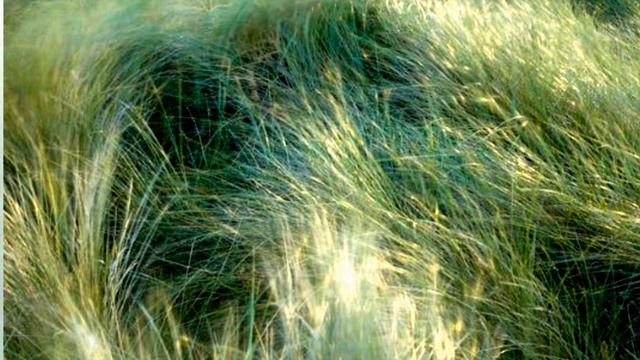 Jan Freidlin "PASTORAL" [2} - II part of 'Spring Games' - flute & 2 String Orchestras смотреть онлайн